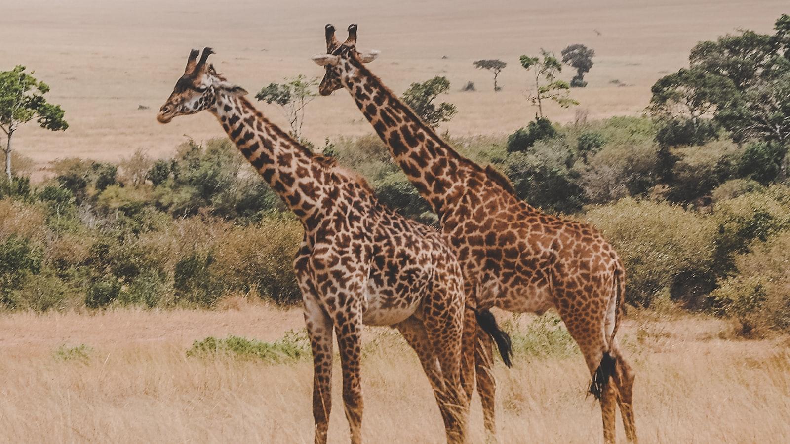 Are there cultural centers in Mount Kenya that offer insights into local heritage?