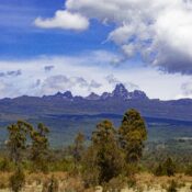 How many game drive companies operate in Mount Kenya?