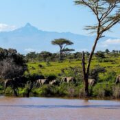 Can I attend cultural storytelling evenings around a campfire in Mount Kenya?