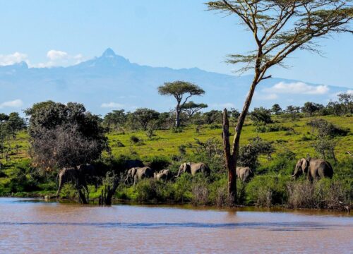 Can I attend cultural storytelling evenings around a campfire in Mount Kenya?