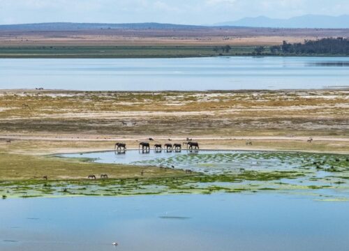 Are there opportunities to learn about Mount Kenya’s religious practices?