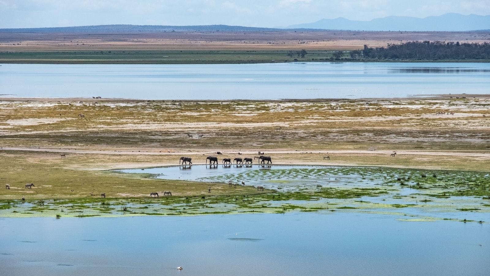 Are there opportunities to learn about Mount Kenya’s religious practices?