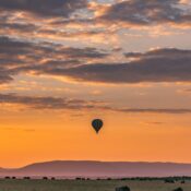 What is the best time of year for birdwatching on Mount Kenya game drives?