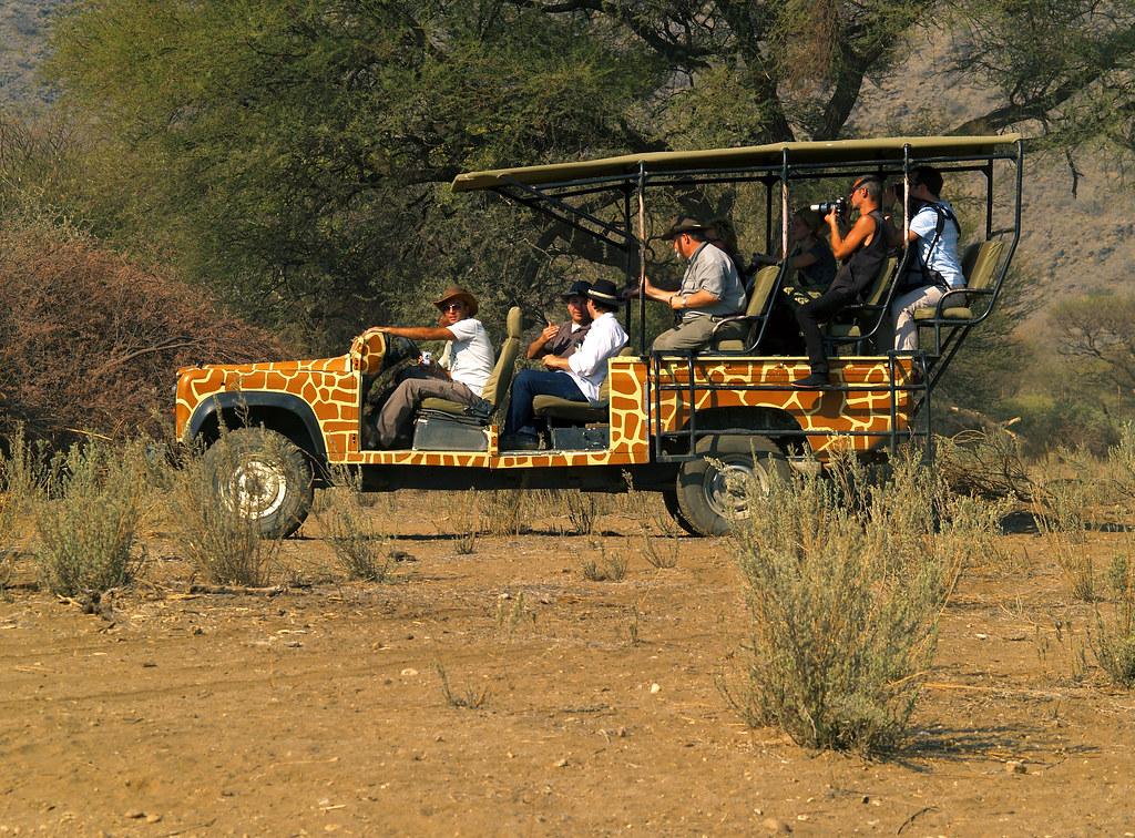 Insider Tips to Ensure a Successful Booking for a Game Drive Adventure in Mount Kenya