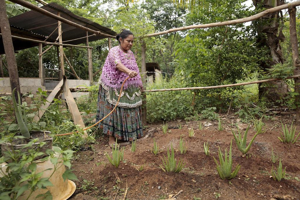 Reviving Indigenous Practices: A Key to Cultural Inclusivity in Mount Kenya