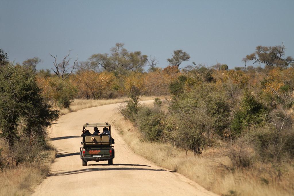 Uncover Unforgettable Safari Experiences with Independence Day Packages in Mount Kenya