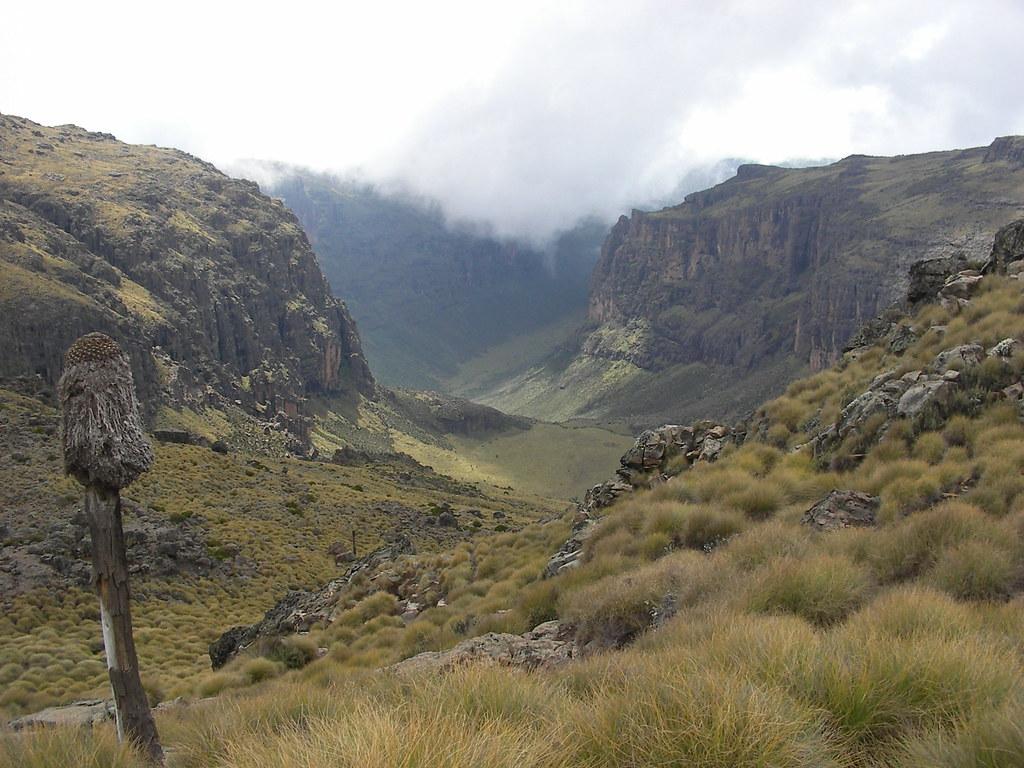 Mount Kenya National Park: Rules and Regulations for Camping During Game Drives