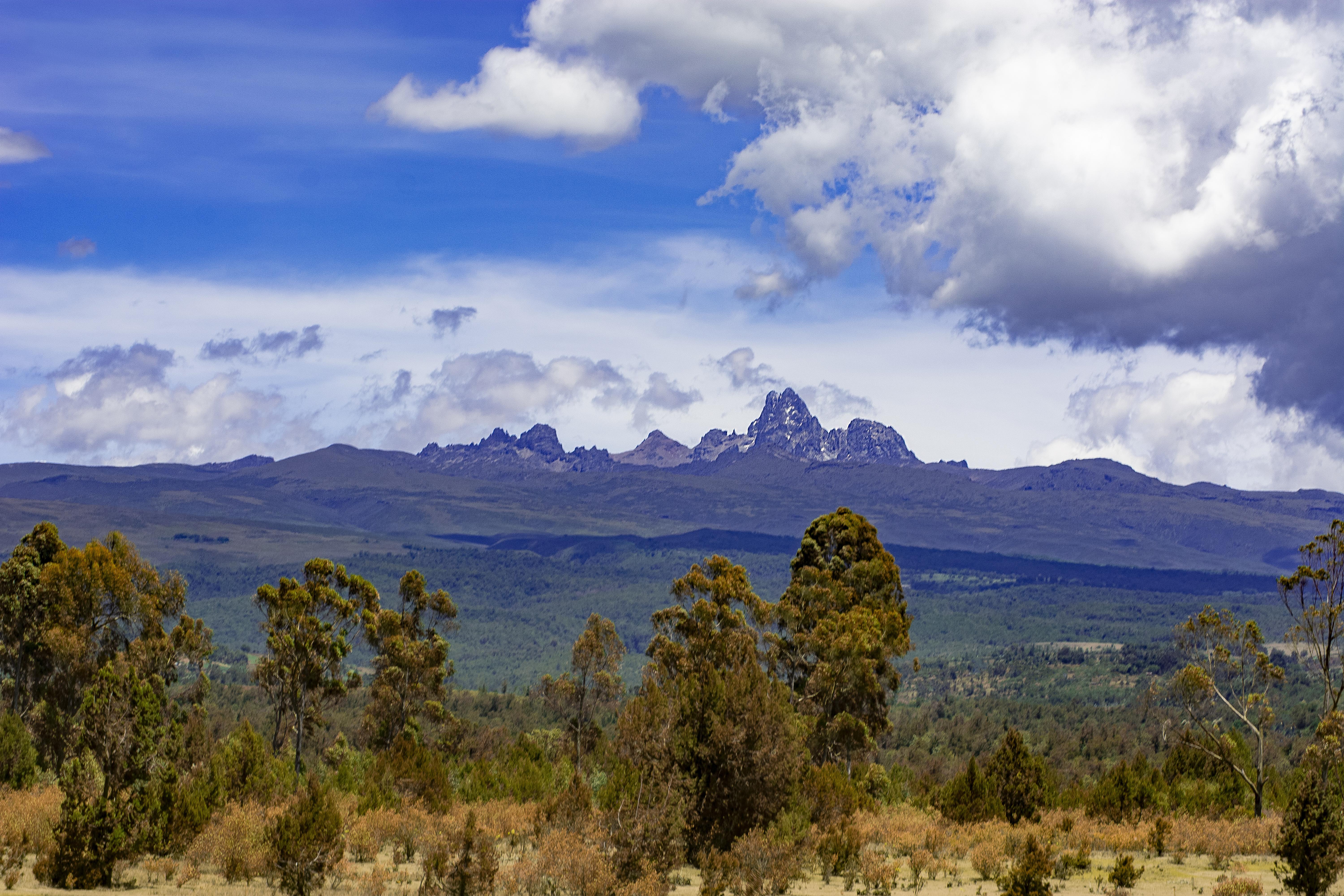 4. Unveiling Mount Kenya's Game Drive Vehicles: From Open Safari Jeeps to Customized Land Cruisers