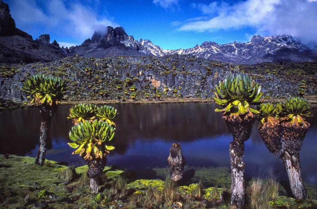 How do Mount Kenya’s communities celebrate traditional holidays and festivals?