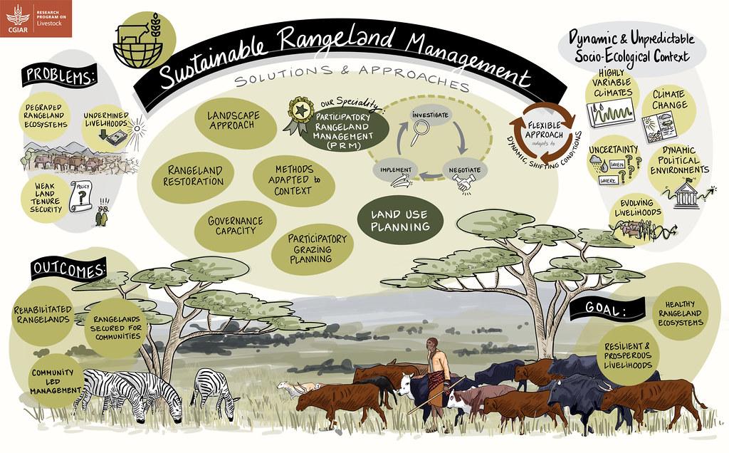 Sustainable Solutions for the Future: Recommendations to Strengthen Cultural Practices in Mount Kenya's Changing Environment