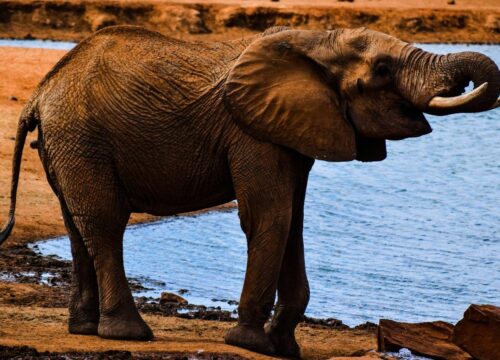 What are the traditional stories and legends associated with Mount Kenya’s landscapes?