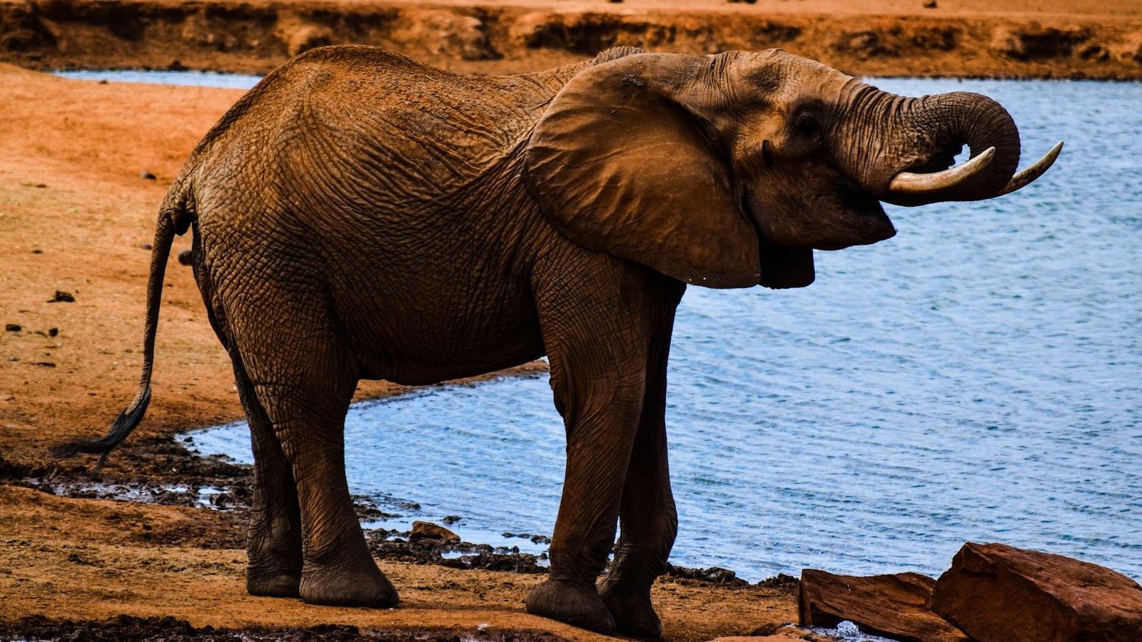 What are the traditional stories and legends associated with Mount Kenya’s landscapes?