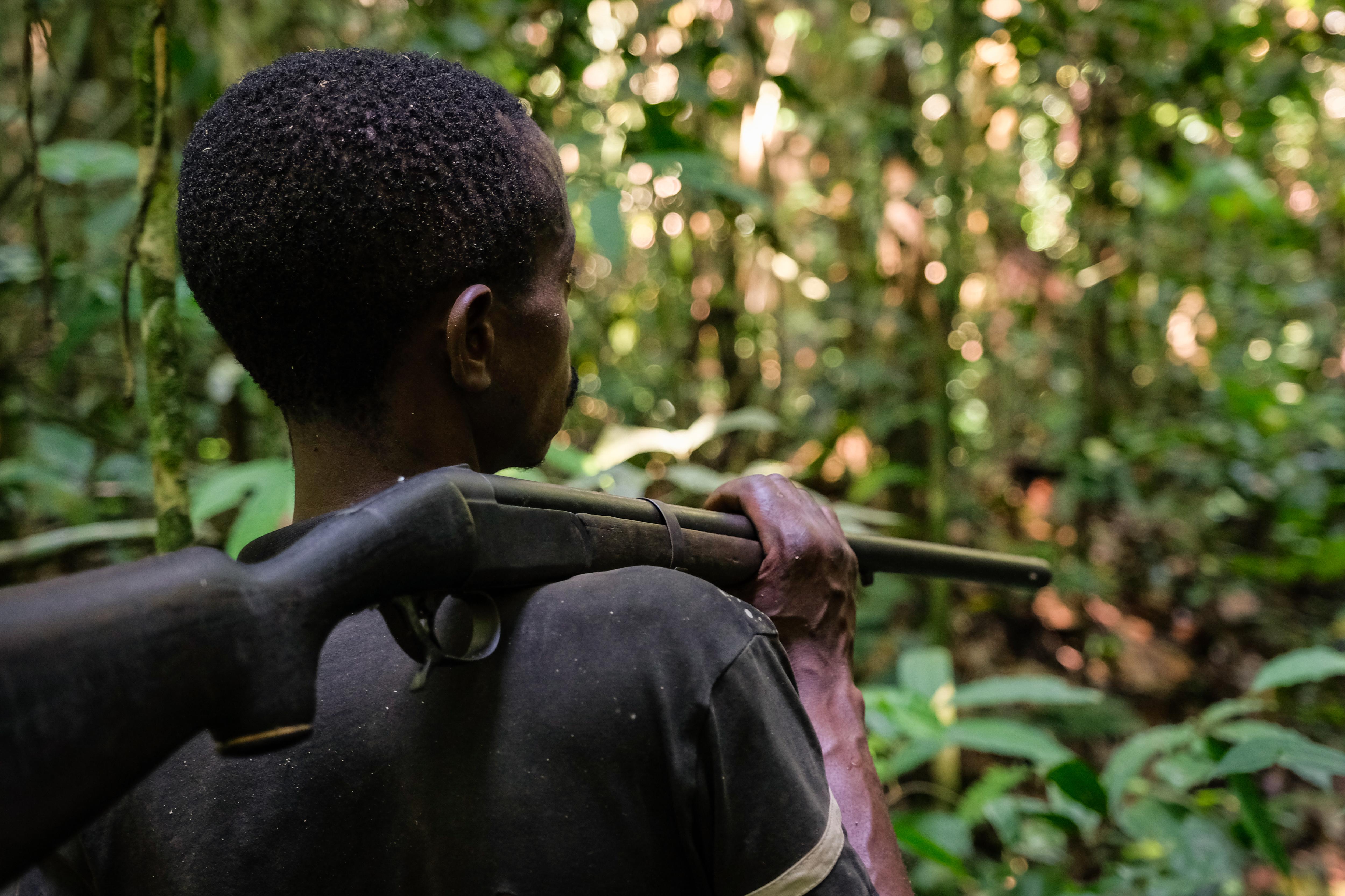 Collaborative Approaches to Enhance Sustainable Hunting and Gathering in Mt Kenya's Communities
